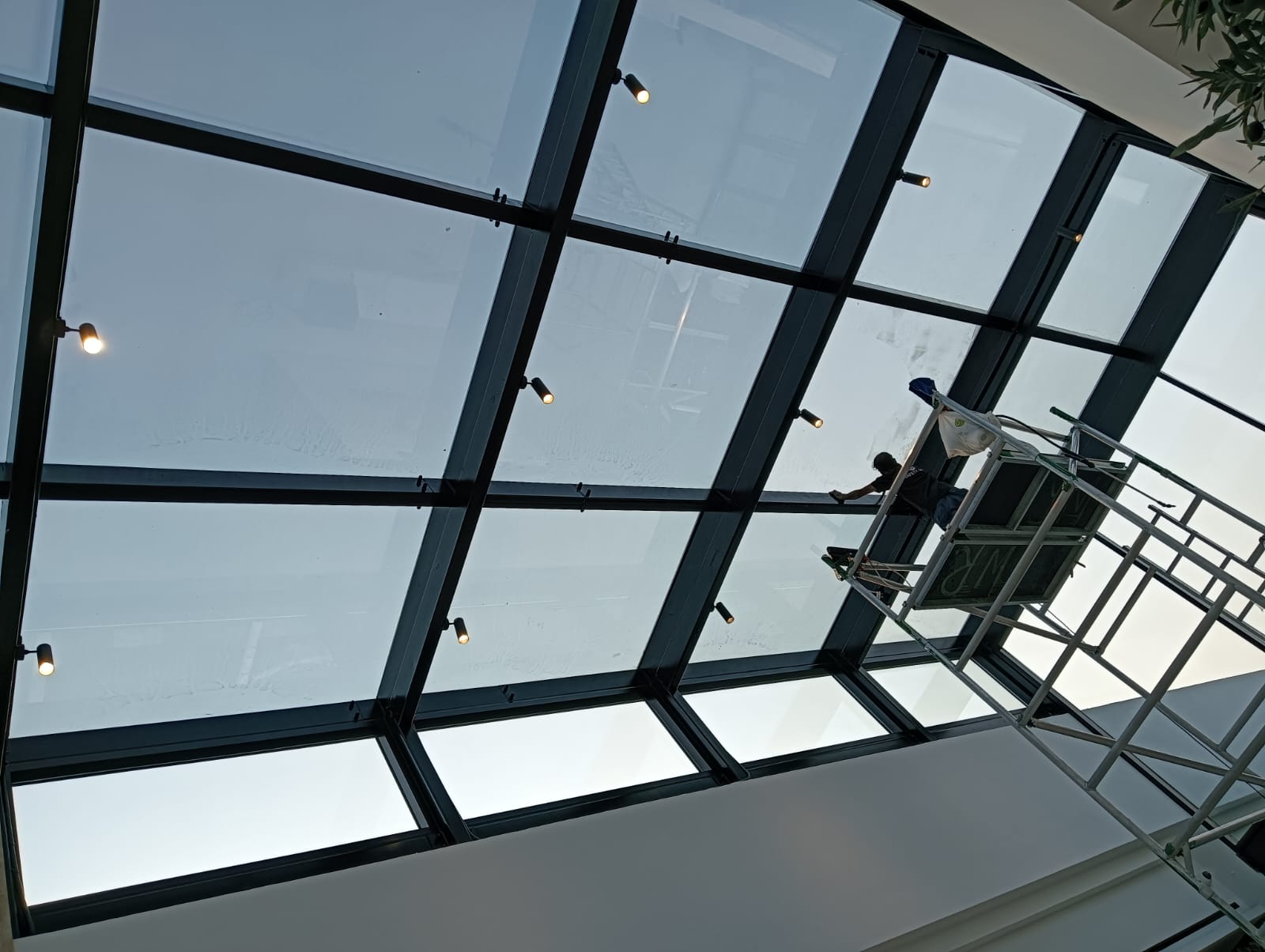 Sun control film installed on commercial building UAE